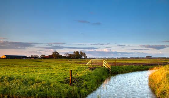 Aandachtstrekker Groningen